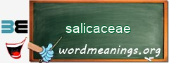 WordMeaning blackboard for salicaceae